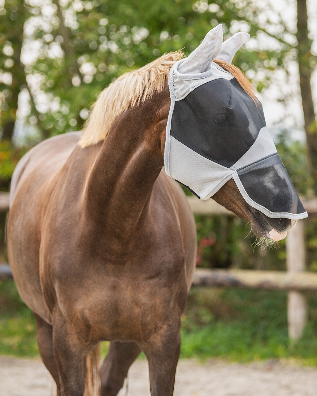 QHP Solaire fluemaske med UV-beskyttelse Shetland
