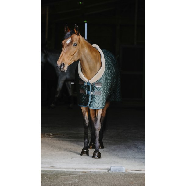 Equitheme showrug