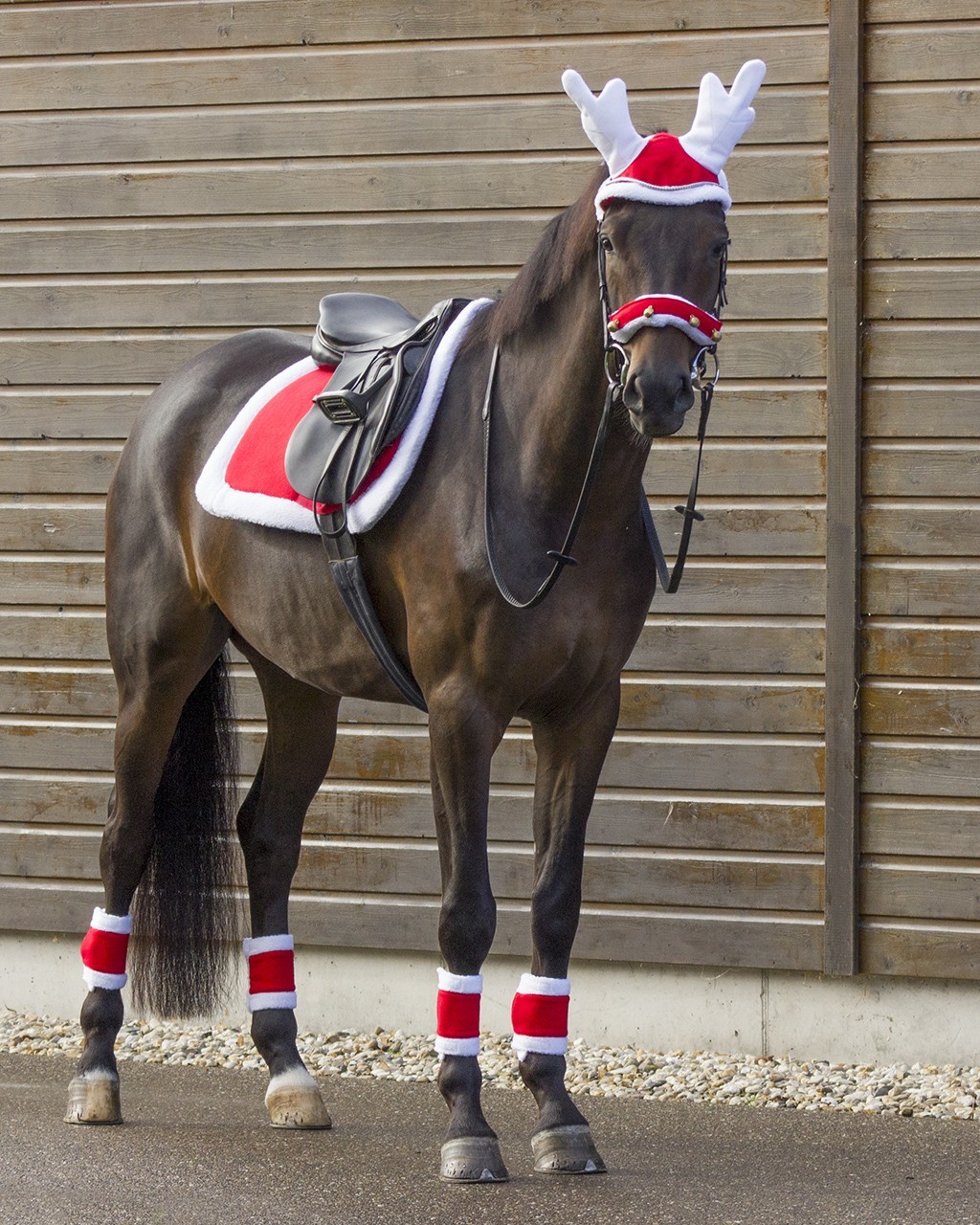 Billede af Julehat til hesten - rensdyr Full